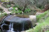 SWEET WATER CREEK NATURE RESERVE PARKSID