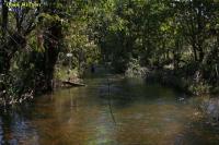 UN NAMED TRIBUTARY OF COOMALIE CREEK